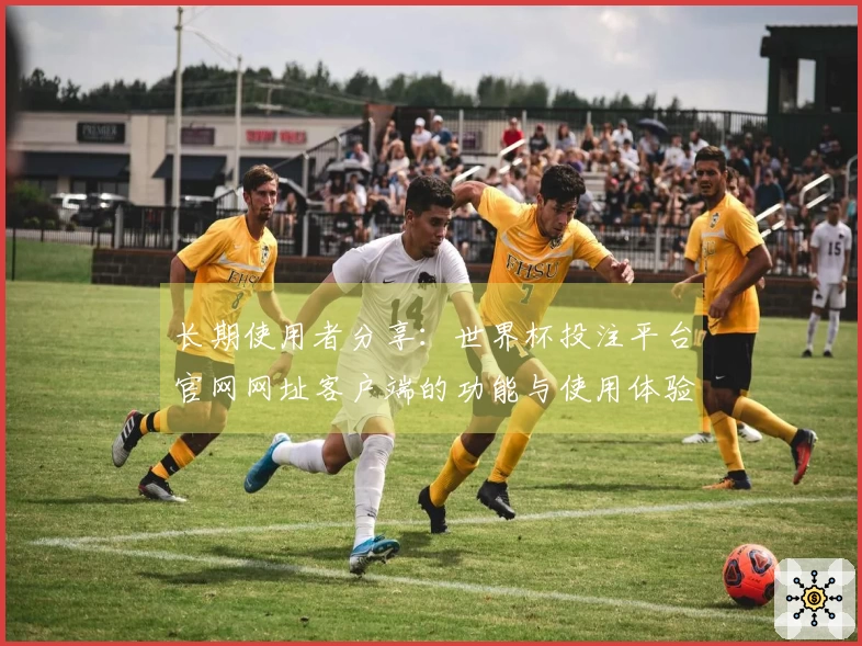 长期使用者分享：世界杯投注平台官网网址客户端的功能与使用体验详解