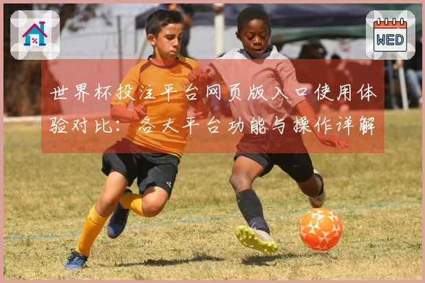 世界杯投注平台网页版入口使用体验对比：各大平台功能与操作详解